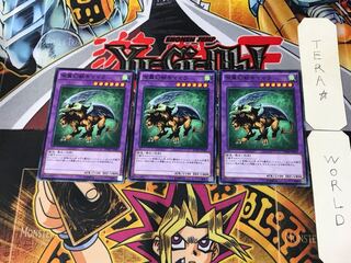 Chimera the Flying Mythical Beast SDMY 2 Normal Set of 3 Tera