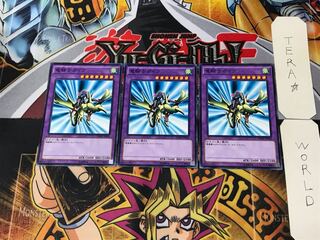 Gaia the Dragon Champion SDMY 4 Normal 3-card set Tera