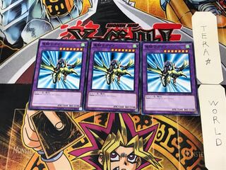 Gaia the Dragon Champion SDMY 5 Normal 3-card set Tera