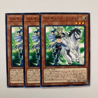 8978 ワルキューレ・フィアット(スパッツ有り) ノーマル JP006