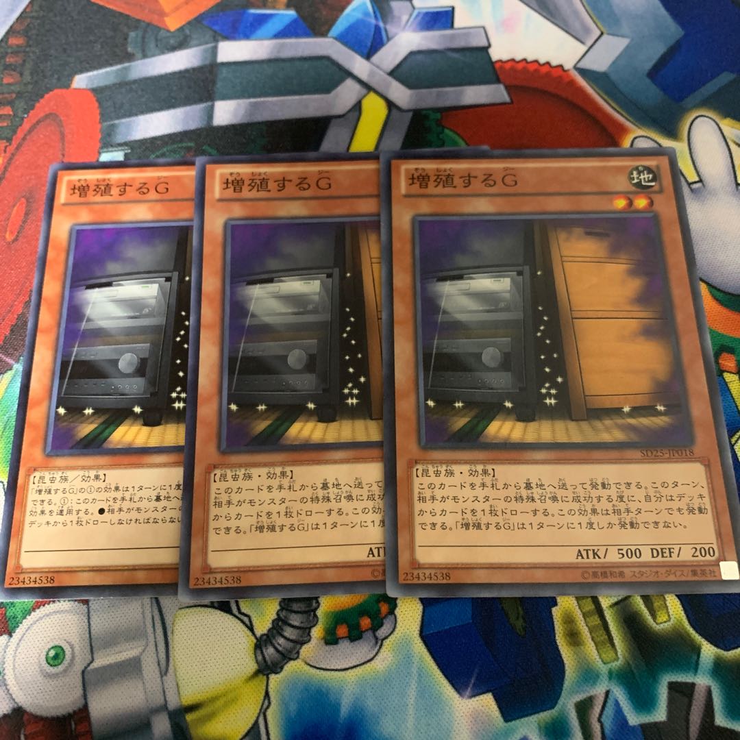 Maxx "C" Normal JP018