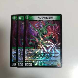 Infelix star tree (species of sedge, Infelix infelix)