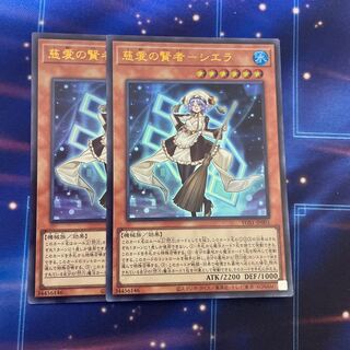 Sage of Compassion - Sierra Ultra 2 copies