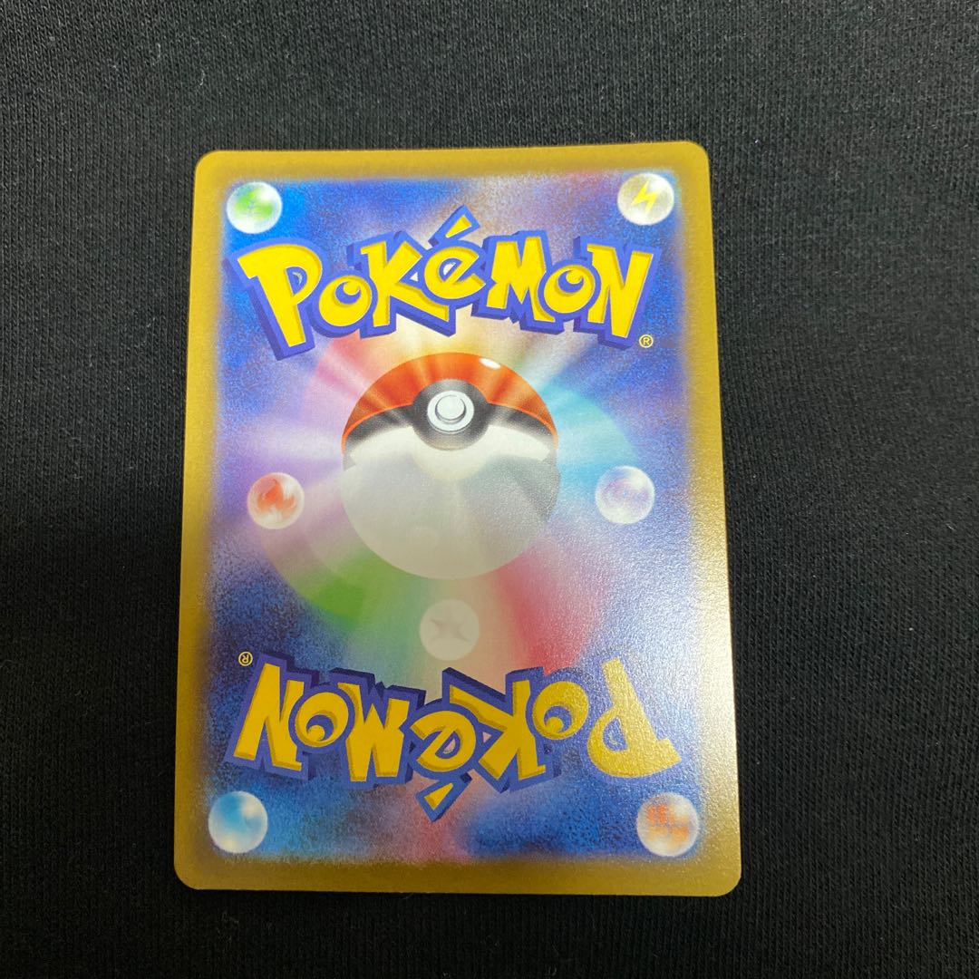 Miscanthus sinensis SR 085/071 1枚