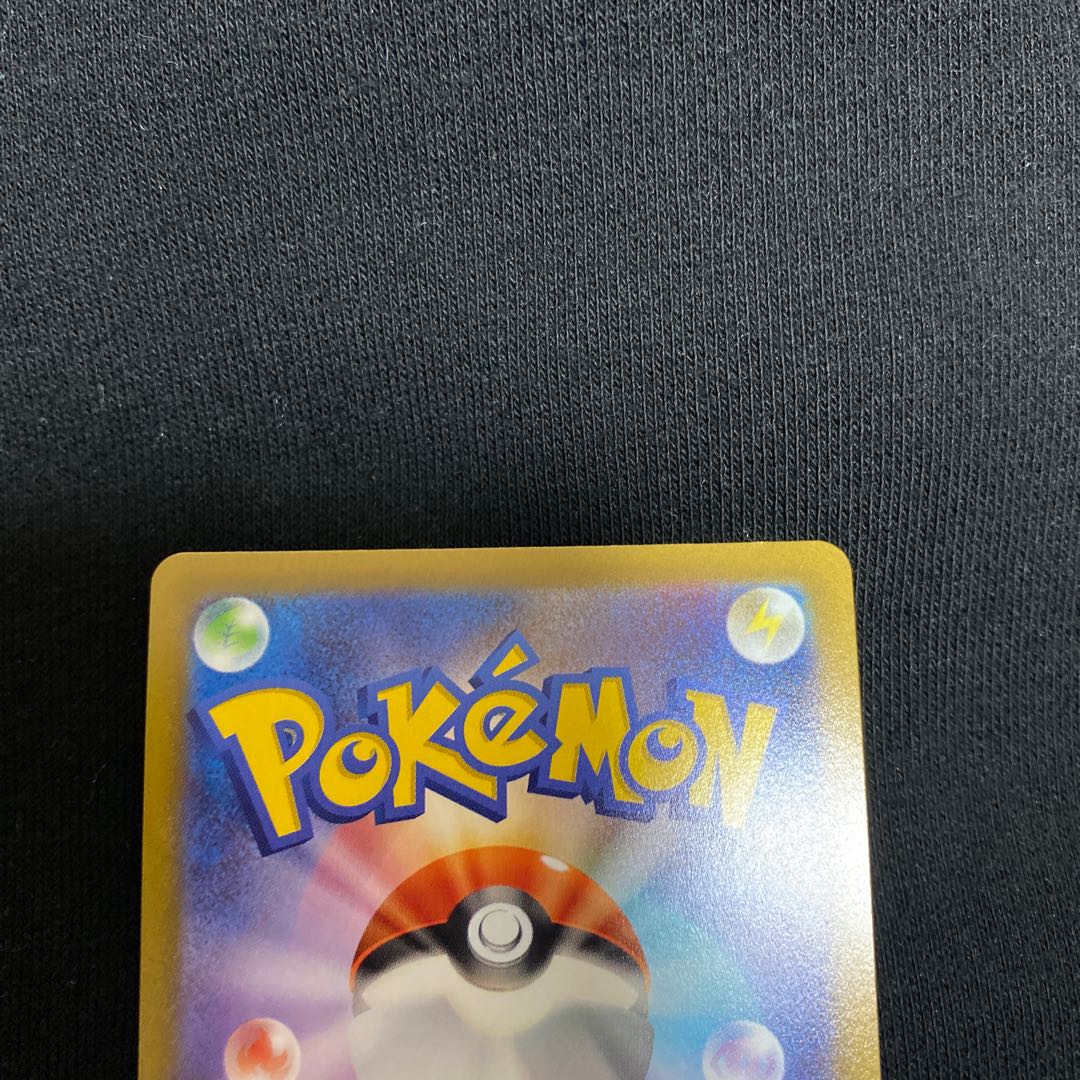 Miscanthus sinensis SR 085/071 1枚