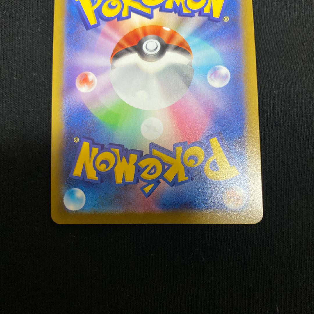 Miscanthus sinensis SR 085/071 1枚