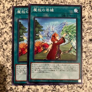 Adamancipator Friends Normal JP061