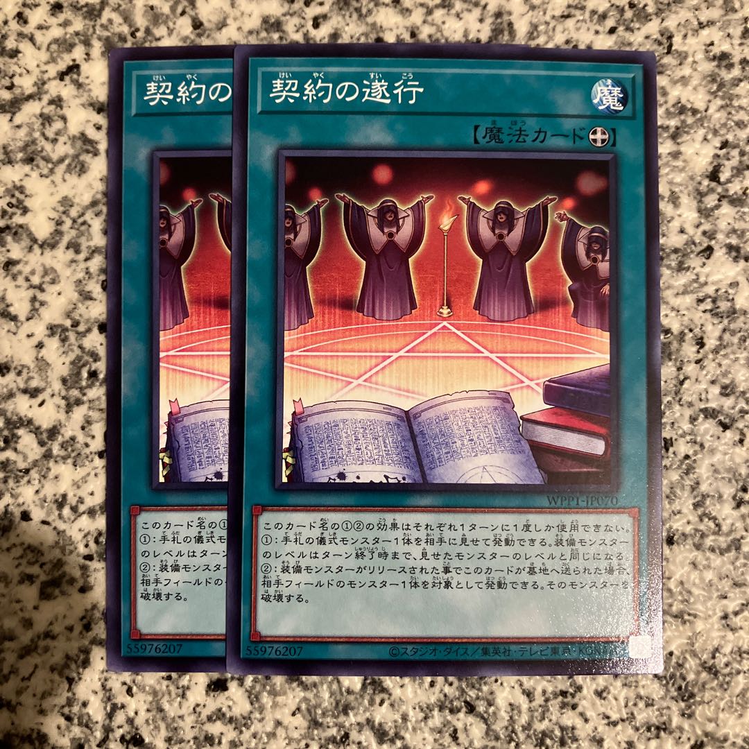 Execution of the Contract Normal JP070