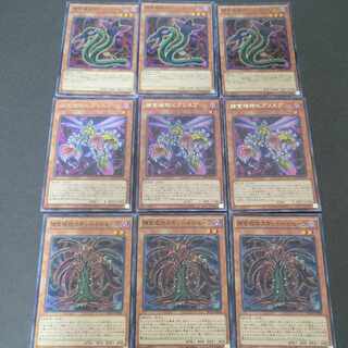 捕食植物ダーリング・コブラ×3枚 捕食植物ビアリスプ×3枚 捕食植物スキッド・ドロセーラ×3枚