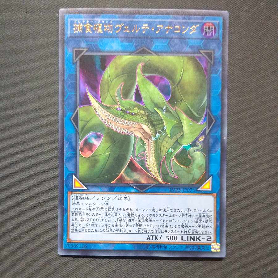 捕食植物ヴェルテ・アナコンダ ウルトラレア JP071