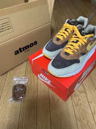 ナイキ エアマックス1 ダックパック "アグリーダクリング" ピーカン/イエローオークル DZ0482-200 27.5cm