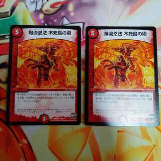 爆流忍法不死鳥の術