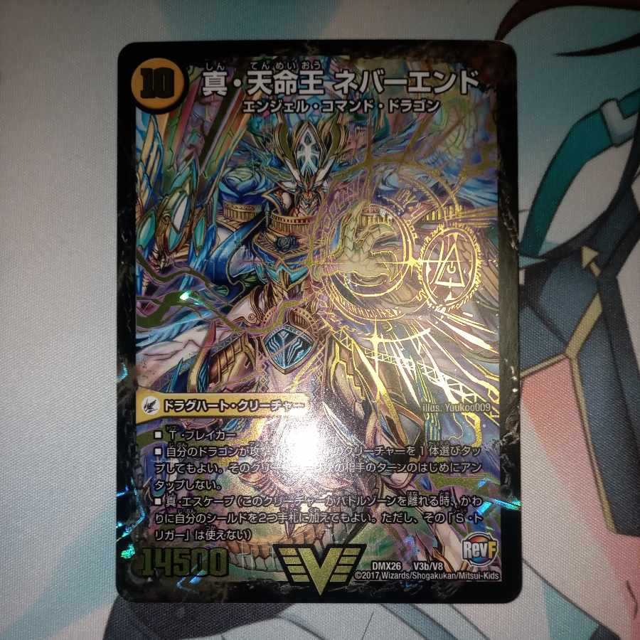 True Sacred Church Endless Heaven｜True Heavenly King Never End VIC V3a/V8｜V3b/V8