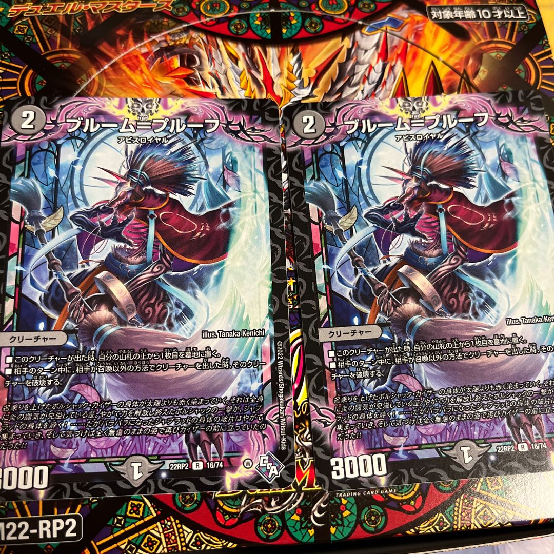 Snubbullum-Proof R 16/74