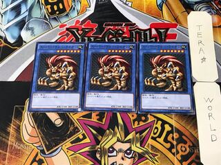 Super War-Lion 15AX 3 Normal, set of 3 Tera.