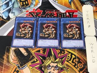 Super War-Lion TP14 2 Normal, set of 3 Tera.