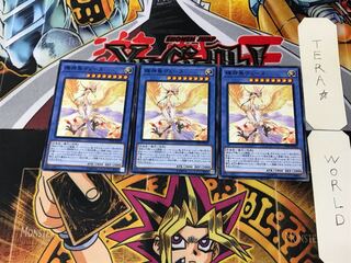 輝神鳥ヴェーヌ 17PR 4 ノーマル 3枚セット てら