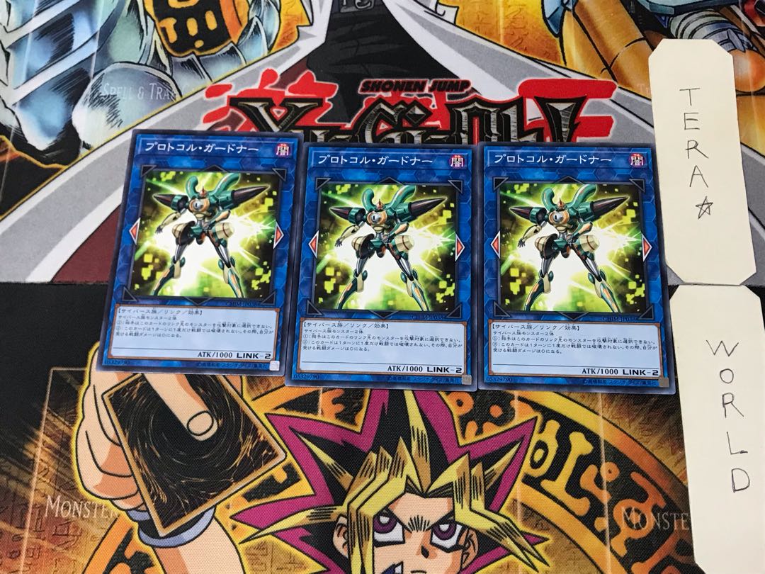 Protocol Gardna CHIM 1 Normal, set of 3 Tera.