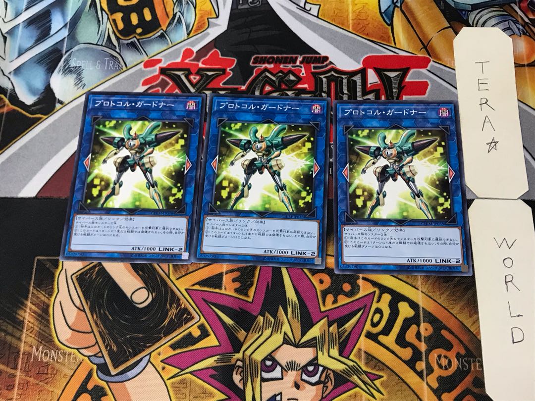 Protocol Gardna CHIM 5 Normal, set of 3 Tera