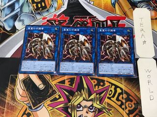 Sunvine Gardna SLT1 5 Normal, set of 3 Tera