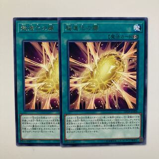 進化の繭」の激安通販 | magi