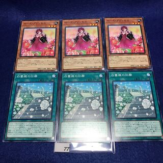 ローズ・プリンセス N 白薔薇の回廊 N 各3枚セット