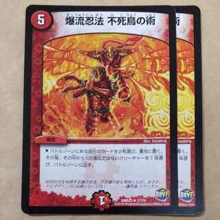 Bakuryu Ninpo Phoenix Technique 2 pieces