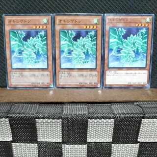 【ぽぽたん】遊戯王  6989  オキシゲドン 3枚 ノーマル
