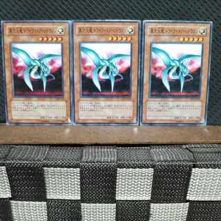 【ぽぽたん】遊戯王 #695  異次元竜 トワイライトゾーンドラゴン  ノーマル3枚