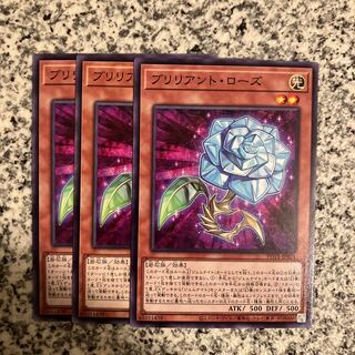 Brilliant Rose Normal JP021