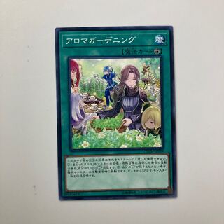 アロマガーデニング $4266