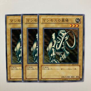 8995 マンモスの墓場 ノーマル JPA16