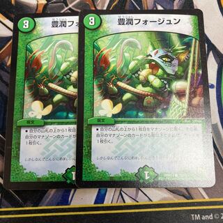 Houjun Faujun C 55/55 1枚