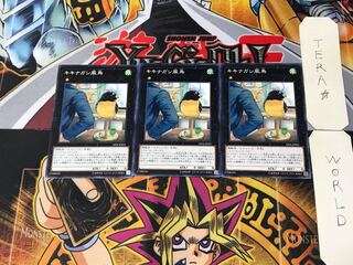 キキナガシ風鳥 18PR 1 ノーマル 3枚セット てら