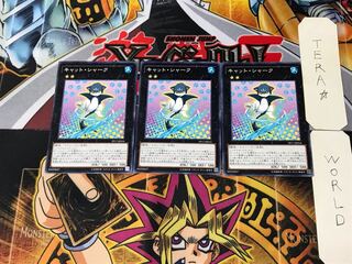 Cat Shark PP17 3 Normal Set of 3 Tera