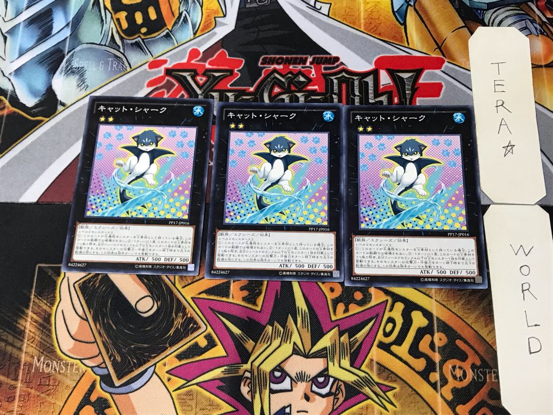 Cat Shark PP17 4 Normal, set of 3 Tera