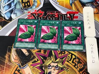 Goblin's Secret Remedy PG 2nd period ver 1 normal, set of 3 Tera.