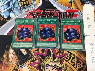 はがねの甲羅 B1 2期ver 2 ノーマル 3枚セット てら