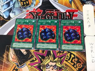 はがねの甲羅 B1 2期ver 3 ノーマル 3枚セット てら