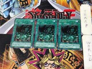 Hurricane YU 2nd period ver 2 normal, set of 3 Tera