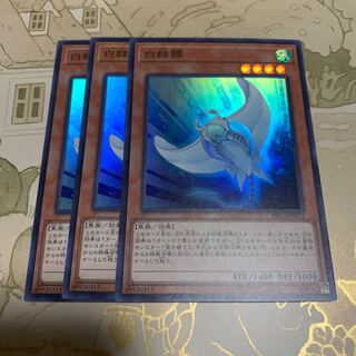 遊戯王　白棘鱏(ホワイト・スティングレイ)  スーパー3枚
