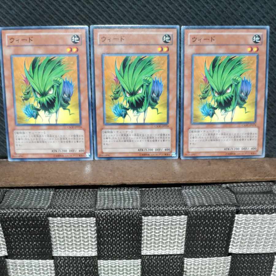 [Popotan] Yu-Gi-Oh #3524 Nettles 3 Normal