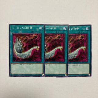 ハーピィの羽根帚 ノーマル JP032