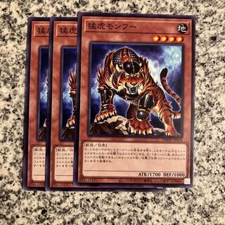 Slashing Tiger Mon Fu Normal JP024