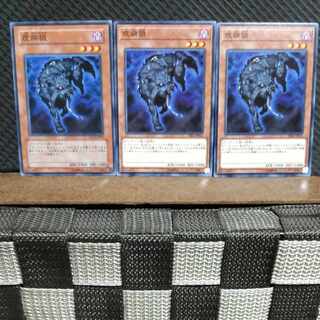 【ぽぽたん】遊戯王 #701  疫病狼  ノーマル3枚