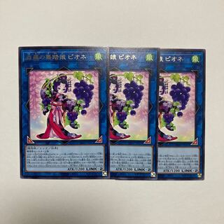 森羅の舞踏娘 ピオネ レア JP051