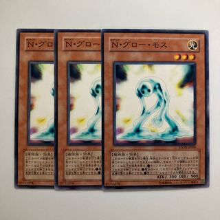 N・グロー・モス $4342