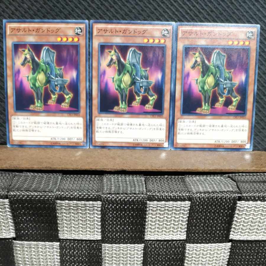 【ぽぽたん】遊戯王 #704 アサルト・ガンドッグ ノーマル3枚