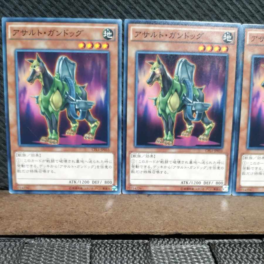 【ぽぽたん】遊戯王 #704 アサルト・ガンドッグ ノーマル3枚