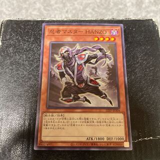 Ninja Grandmaster Hanzo Normal JP306